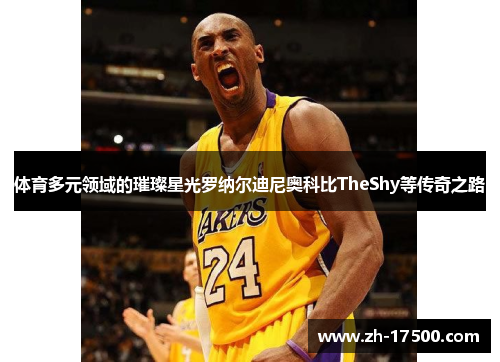 体育多元领域的璀璨星光罗纳尔迪尼奥科比TheShy等传奇之路